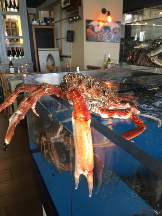 La Table De Jeanne Ξενοδοχείο Erquy Εξωτερικό φωτογραφία
